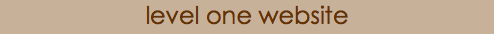 level one website